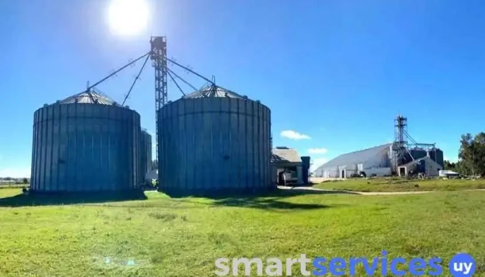 Planta de acopio Molino Río Uruguay - 80100 Departamento De San José