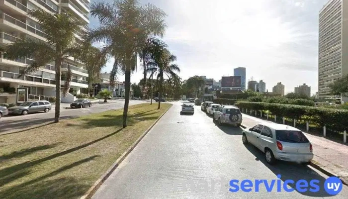 Plataforma - San José De Mayo