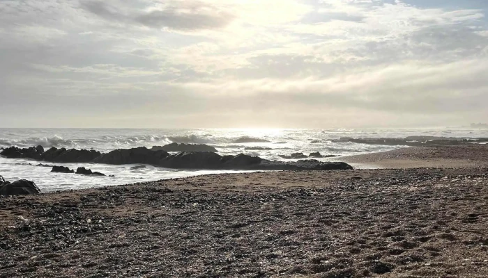 Playa Del Faro -  Telefono - La Paloma