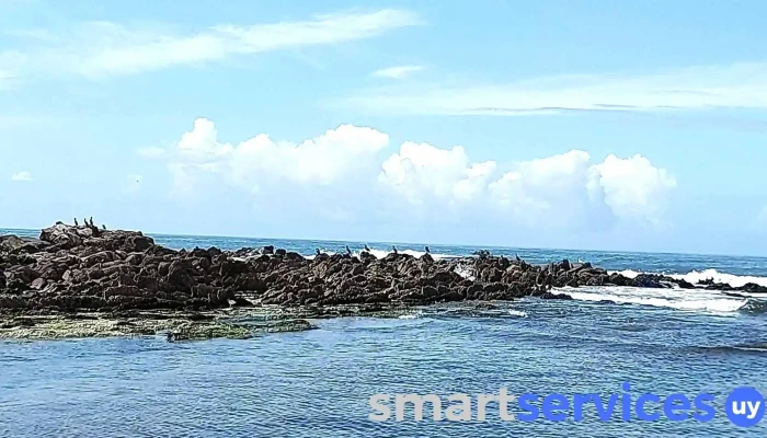 Playa El Cabito -  Videos - La Paloma