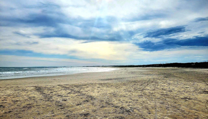 Playa Los Botes La Paloma -  Telefono - La Paloma