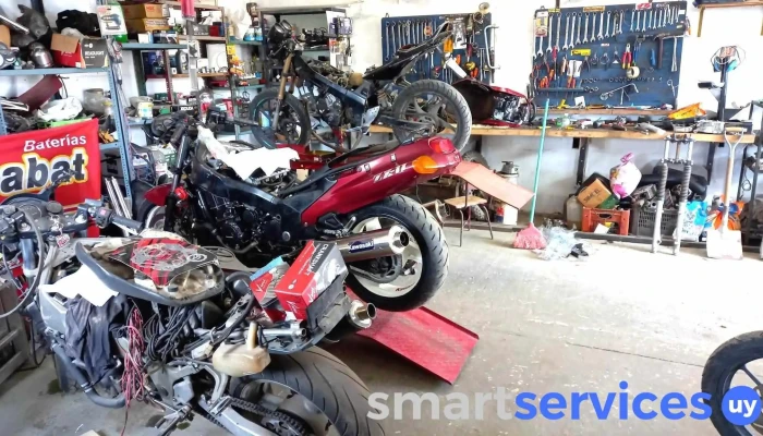 Pm Racing - 15600 Pando