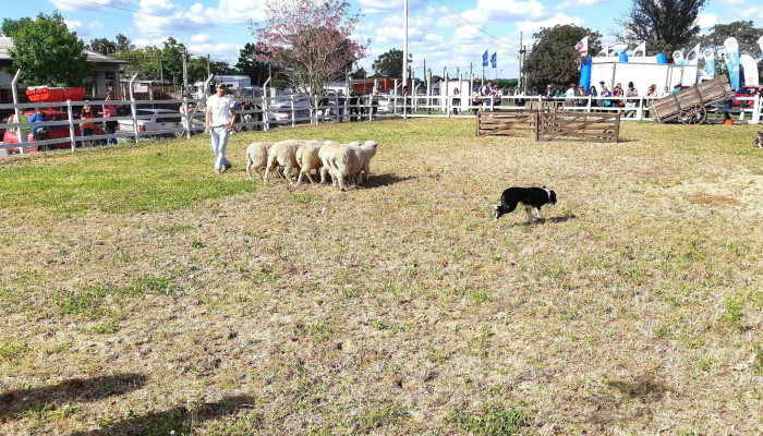 Predio Asociación Rural de San José - 80000 San José De Mayo