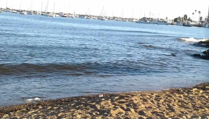 Puertito Del Buceo -  Bote - Montevideo