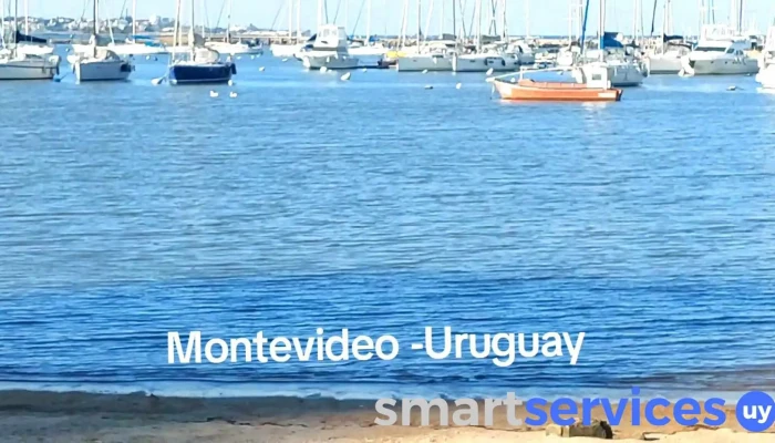 Puertito Del Buceo -  Mas Recientes - Montevideo