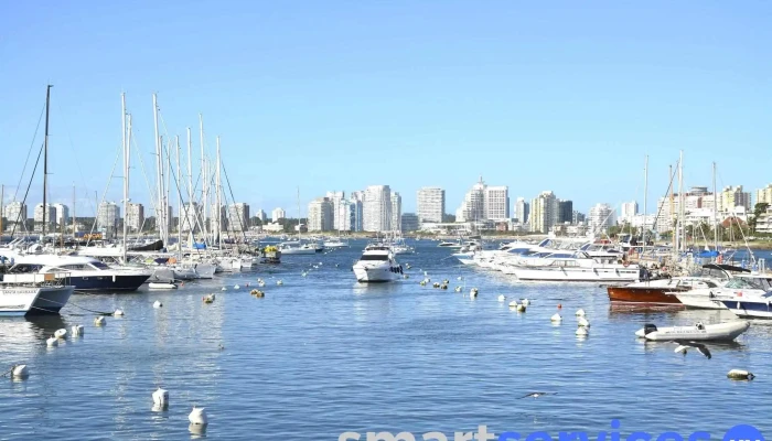 Puerto de Punta del Este - Departamento De Maldonado