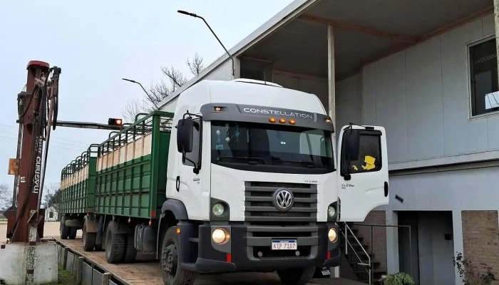 Radenor s.a - 75500 Palmitas