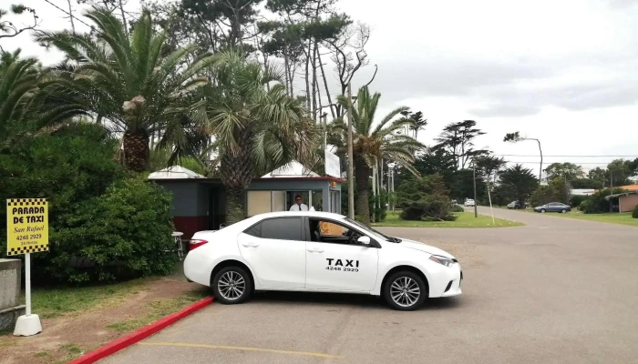 Radio Taxi San Rafael -  Oficinas De Empresa - Punta del Este