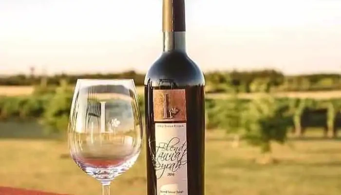 Ruta del vino - 70100 Carmelo