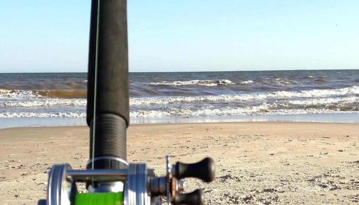 Sage Srl -  Videos - Montevideo