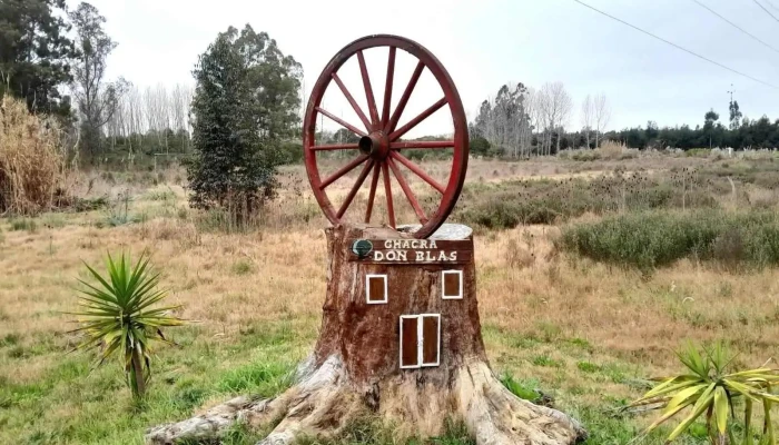 Salón y Chacra La Arboleda - Ruta 8 11
