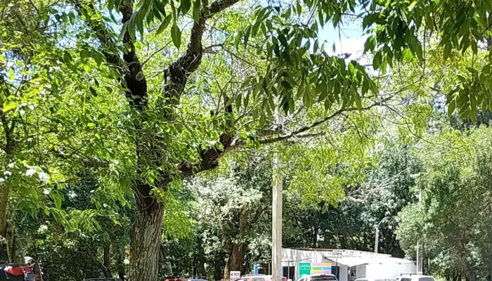 San Ramon Canelones -  Como Llegar - San Ramón