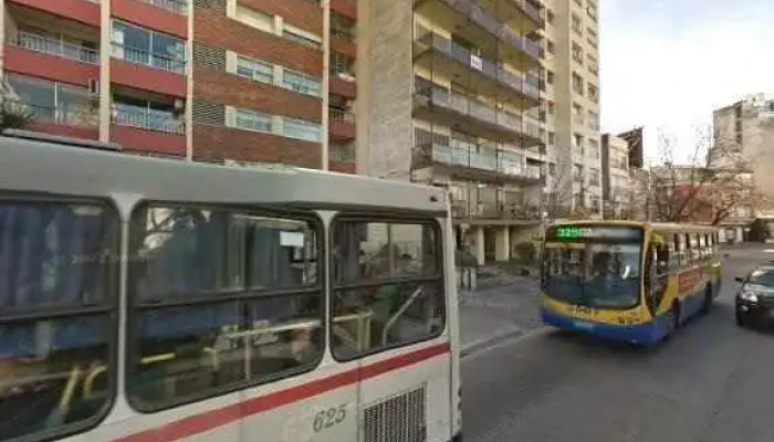 Servicios Picasso -    Servicio De Limpieza Promocion - Montevideo