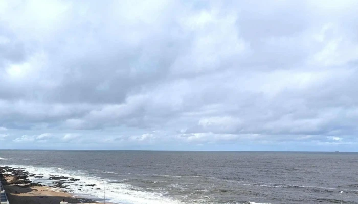 Sinergia Punta Del Este -  Comentarios - Punta del Este