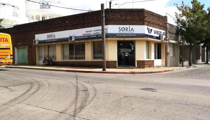Soria Negocios Rurales - 80000 San José De Mayo