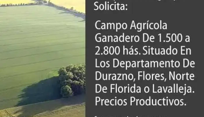 Suministros Alimenticios Del Sur -  Del Propietario - Rocha