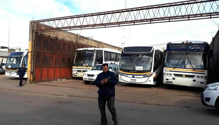 Tala Pando Montevideo Srl -  Automovil - Pando