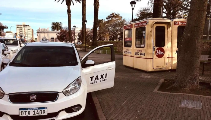 Taxi Centro Maldonado Marco De Los Reyes -  Oficinas De Empresa - Maldonado