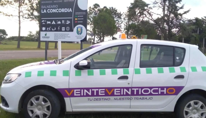 Taxi Ottonelli -  Servicio De Transporte Con Acompanante - Dolores