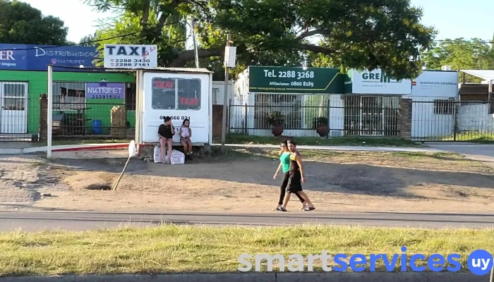 Taxi Ruta 8 -  Servicio De Taxis - Barros Blancos