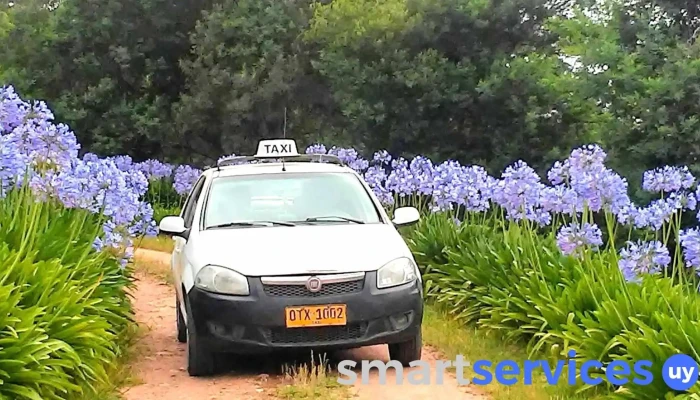 Taxi Yola Parada De Taxis - Dpto