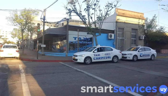 Taxis Carmisol -  Servicio De Taxis - Paysandú