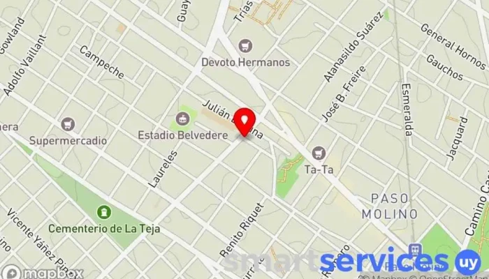 mapa de Terminal Belvedere Estación de autobuses en Montevideo