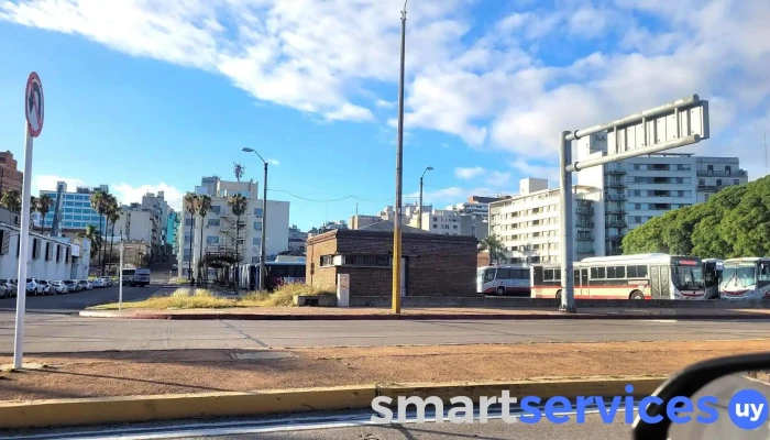 Terminal De Buses -  Autobus - Montevideo