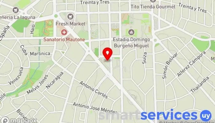 mapa de Terminal de Maldonado Aparcamiento, Agencia expendedora de billetes de autobús en Maldonado