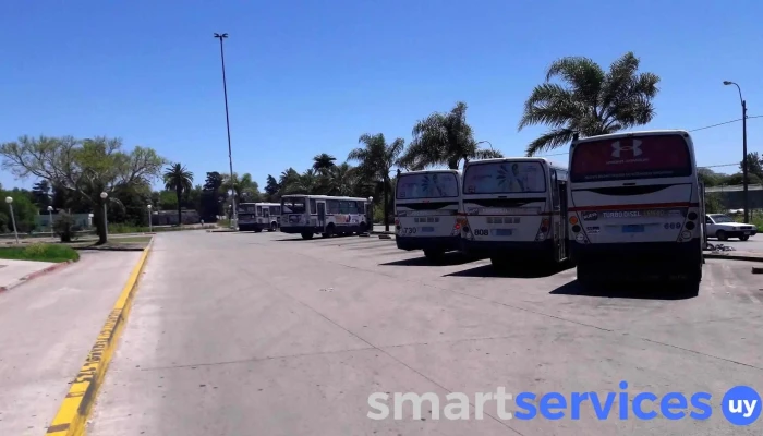 Terminal De Omnibus -    Paso De La Arena Automovil - Montevideo