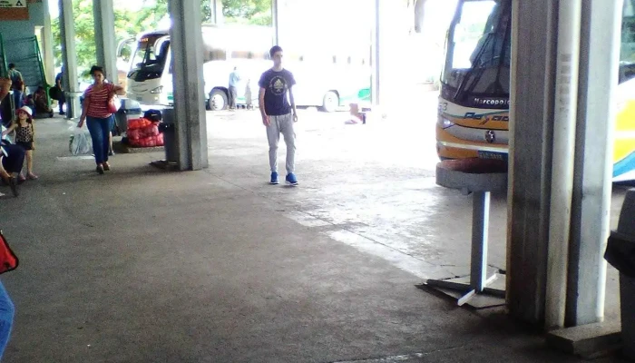Terminal De Omnibus Autobus - Melo
