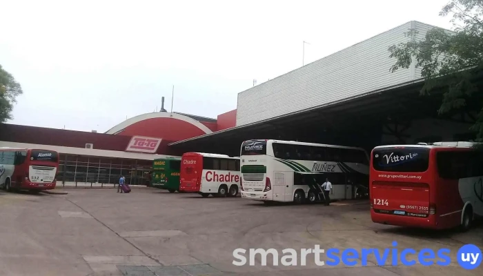 Terminal De Omnibus Zona - Salto