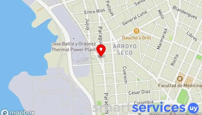 mapa de Terminal Palacio de la Luz Estación de autobuses en Montevideo