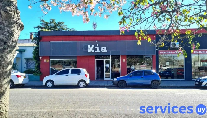 Tienda Mia Cardona - Cardona