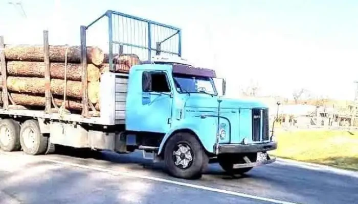 Transporte M Tolstoy -  Sitio Web - Young