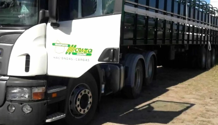 Transportes Monza -  Santa Bernardina - Santa Bernardina