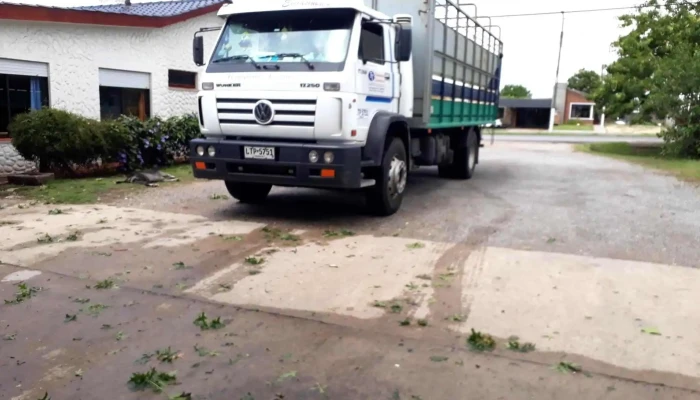 Transportes Tarariras Sa Oficinas De Empresa - Tarariras