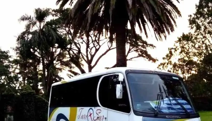 Turisur Agencia De Viajes Puntaje - Libertad