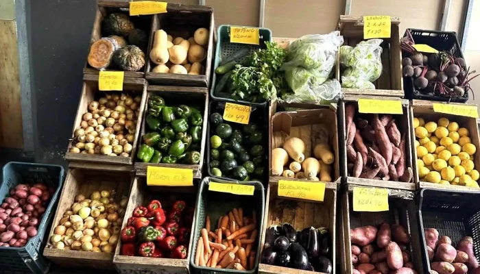 Verduras - 11200 Montevideo