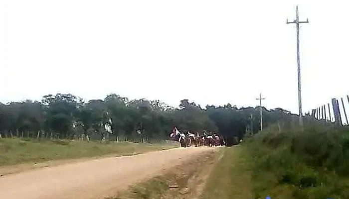 Vergara -  Videos - Vergara