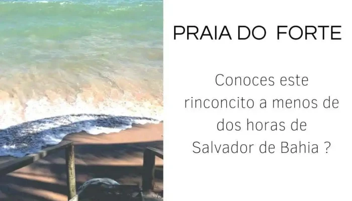 Viajes A Tu Medida -  Videos - Montevideo