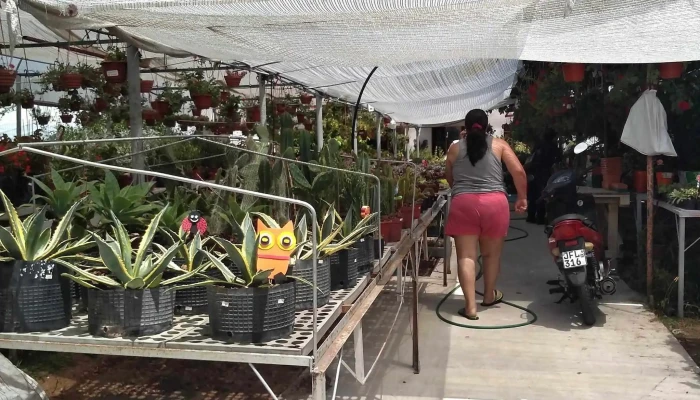 Vivero Las Alegrias - 65000 Fray Bentos