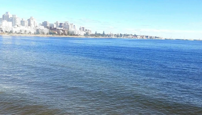 West - Punta Del Este