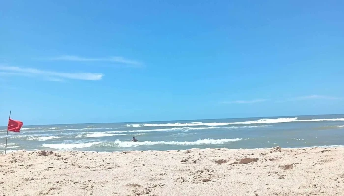 Wwwurubuscomuy Fotos - Punta del Este